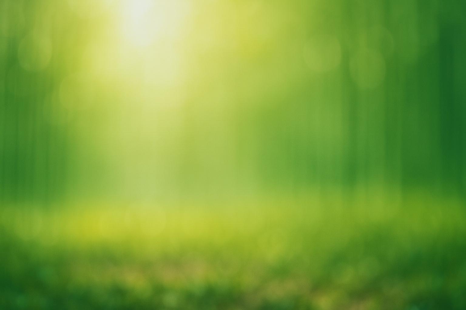 柔らかな光が差し込む緑の抽象的な竹林の背景