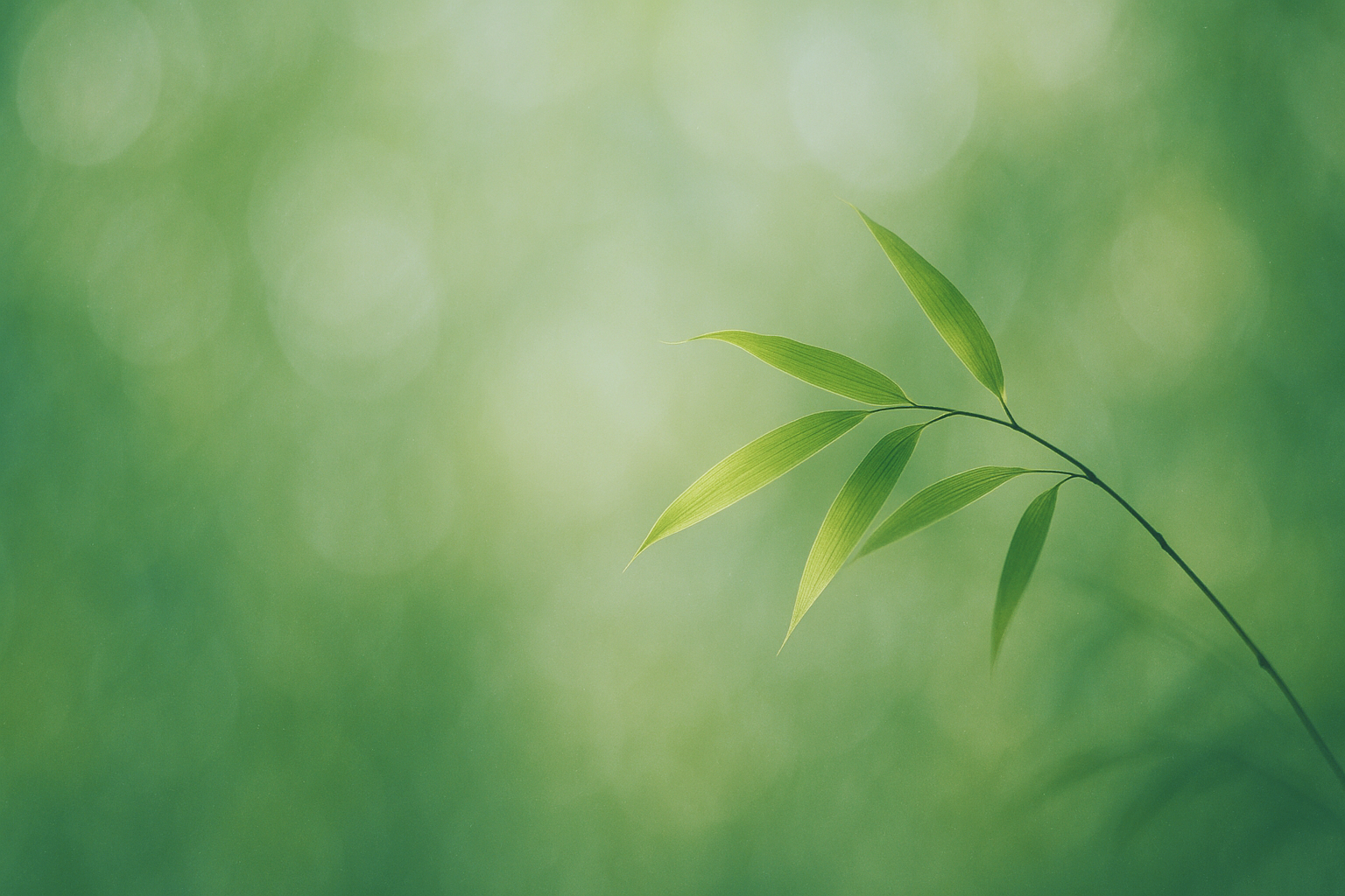 柔らかな光の中で揺れる竹の葉のクローズアップ